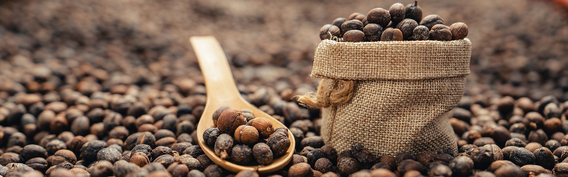 Un nuevo futuro para nuestro café