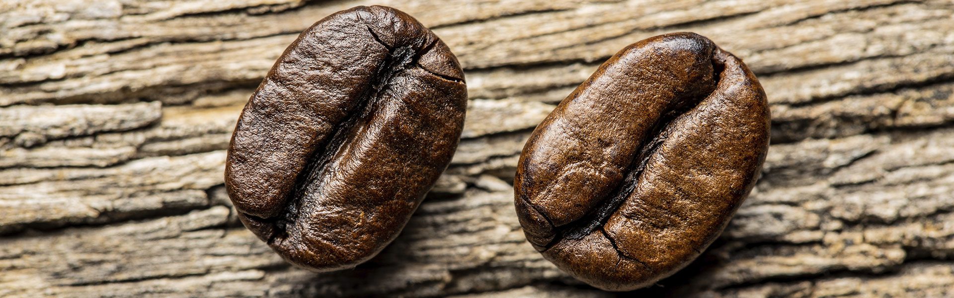 Hablemos de café arábica