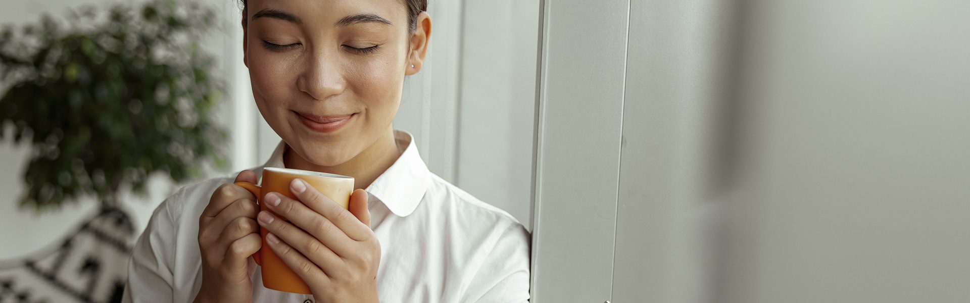 ¿Has probado café aromatizado?