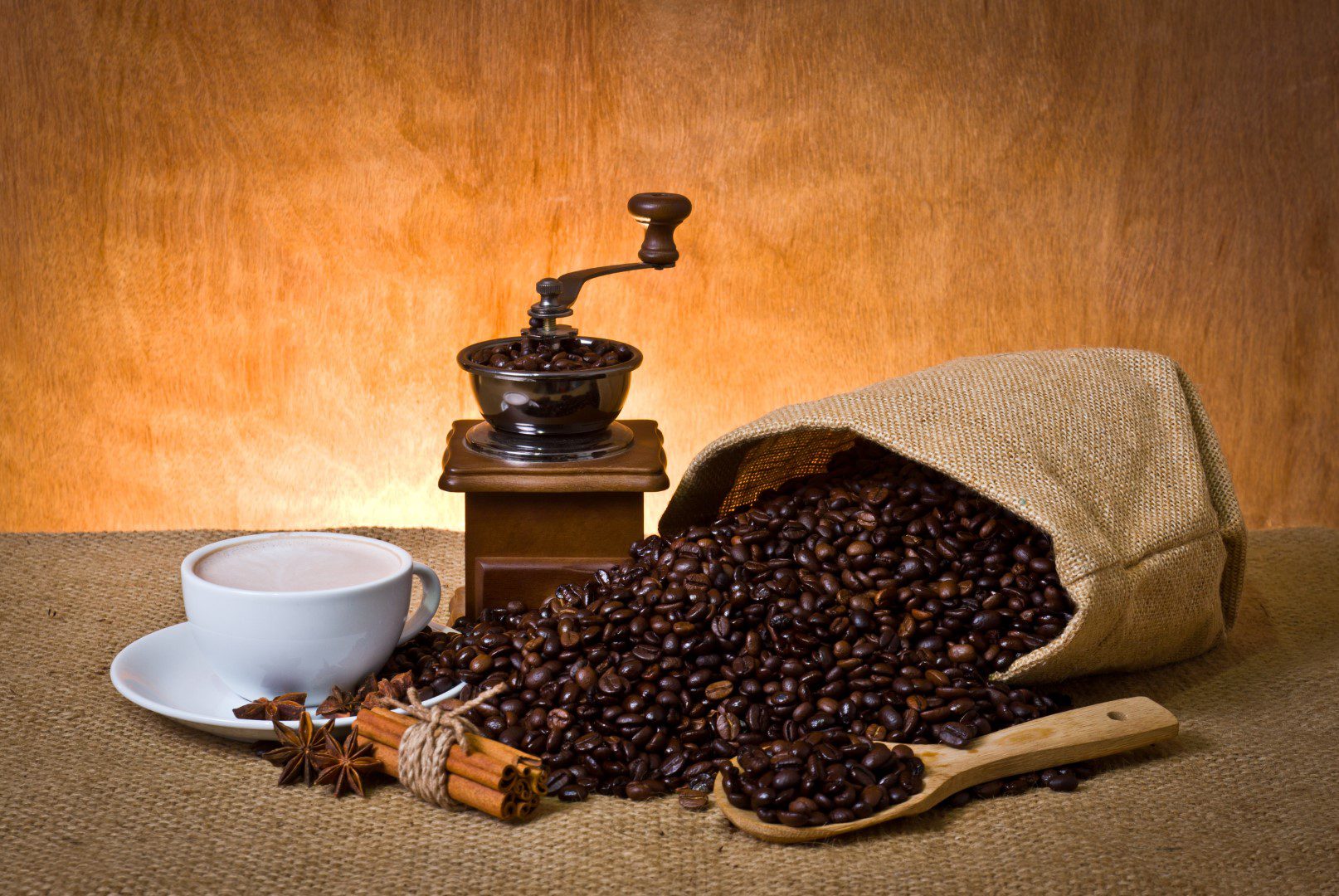 Café arábica y robusta, cada uno con su lugar en la industria